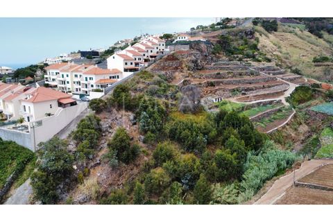 Helårsgrund i Caniço, Madeira, Caniço - € 170.000 | Ref: TER_67 - foto 7
