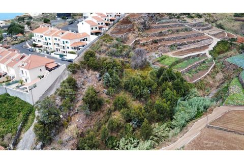 Helårsgrund i Caniço, Madeira, Caniço - € 170.000 | Ref: TER_67 - foto 8