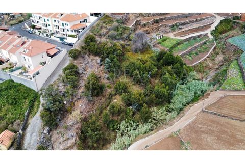 Helårsgrund i Caniço, Madeira, Caniço - € 170.000 | Ref: TER_67 - foto 9