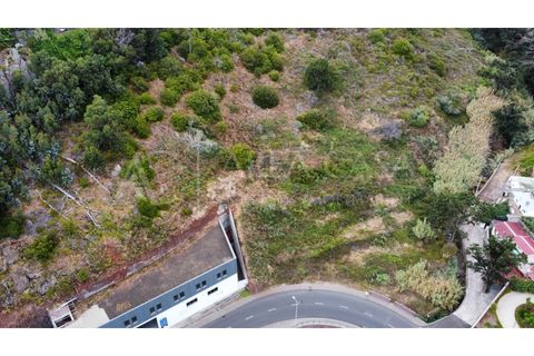 Helårsgrund i Caniço, Madeira, Caniço - € 213.000 | Ref: TER_66 - foto 7