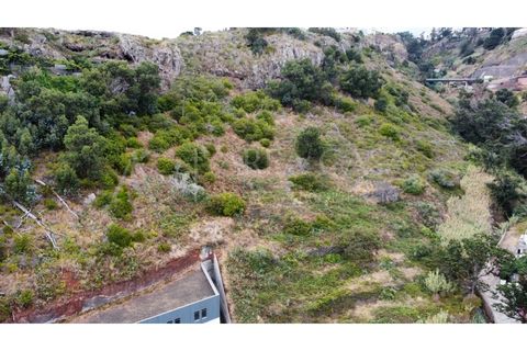 Helårsgrund i Caniço, Madeira, Caniço - € 213.000 | Ref: TER_66 - foto 8