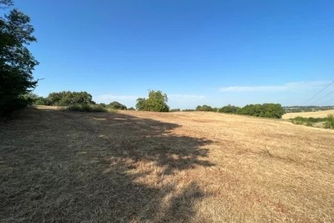Terra a Gimont, Gers, Gimont - € 85.000 | Ref: 7324769 - foto 2