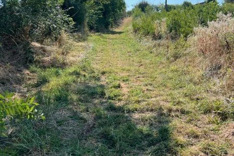 Terra a Gimont, Gers, Gimont - € 85.000 | Ref: 7324769 - foto 3