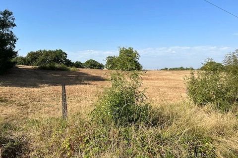 Terra a Gimont, Gers, Gimont - € 85.000 | Ref: 7324791 - foto 2