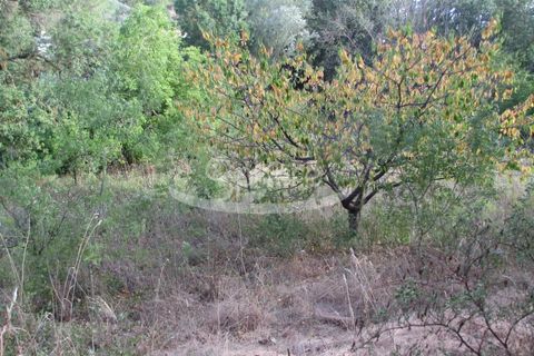 Helårsgrund i Limoux, Aude, Limoux - € 80.000 | Ref: 2144 - foto 4