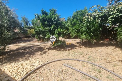 Villa i Oleiros, Castelo Branco, Oleiros - € 55.000 | Ref: 2460 - foto 7