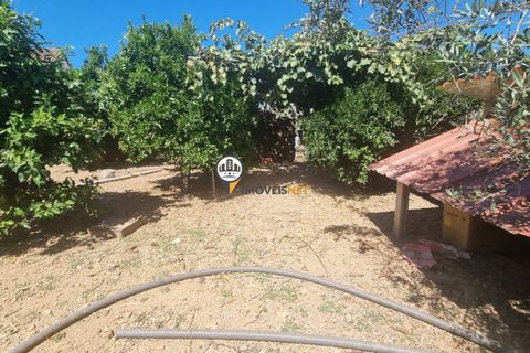 Villa i Oleiros, Castelo Branco, Oleiros - € 55.000 | Ref: 2460 - foto 8
