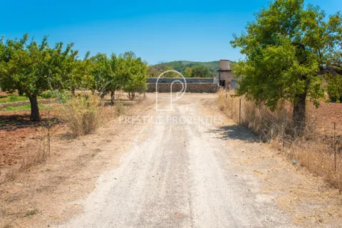 Villa a Can Tomas, Ibiza, Can Tomas - € 1.500.000 | Ref: 7093 - foto 2