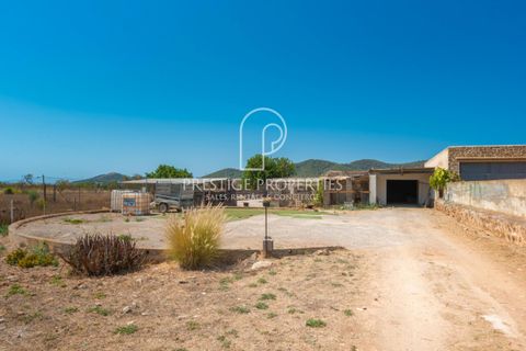 Villa a Can Tomas, Ibiza, Can Tomas - € 1.500.000 | Ref: 7093 - foto 5