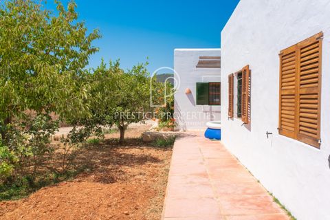 Villa a Can Tomas, Ibiza, Can Tomas - € 1.500.000 | Ref: 7093 - foto 20