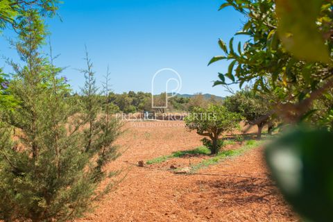 Villa a Can Tomas, Ibiza, Can Tomas - € 1.500.000 | Ref: 7093 - foto 23