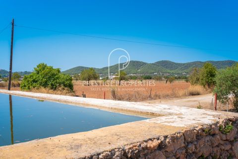 Villa a Can Tomas, Ibiza, Can Tomas - € 1.500.000 | Ref: 7093 - foto 24