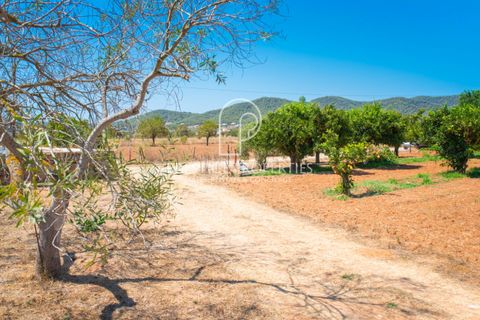 Villa a Can Tomas, Ibiza, Can Tomas - € 1.500.000 | Ref: 7093 - foto 28