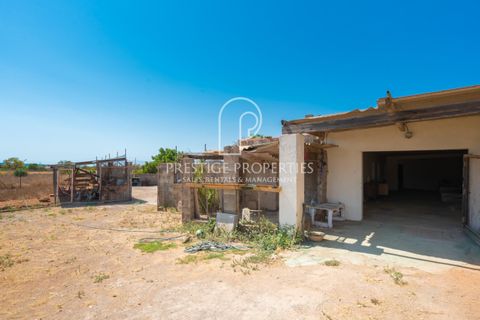 Villa a Can Tomas, Ibiza, Can Tomas - € 1.500.000 | Ref: 7093 - foto 30