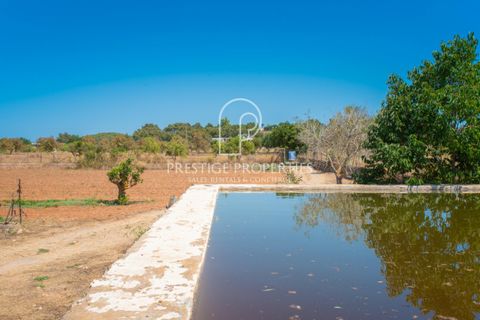 Villa a Can Tomas, Ibiza, Can Tomas - € 1.500.000 | Ref: 7093 - foto 34