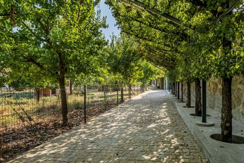 Villa a Lousada, Porto, Lousada - € 1.990.000 | Ref: MG-351 - foto 47