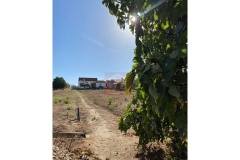 Helårsgrund i Alcochete, Setubal, Alcochete - € 995.000 | Ref: HA365 - foto 7
