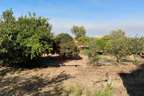 Helårsgrund i Alcochete, Setubal, Alcochete - € 995.000 | Ref: HA365 - foto 8