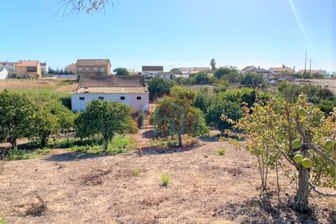 Helårsgrund i Alcochete, Setubal, Alcochete - € 995.000 | Ref: HA365 - foto 9