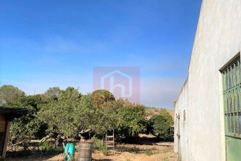 Helårsgrund i Alcochete, Setubal, Alcochete - € 995.000 | Ref: HA365 - foto 23