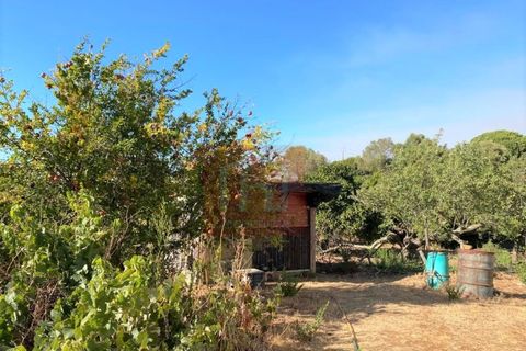 Helårsgrund i Alcochete, Setubal, Alcochete - € 995.000 | Ref: HA365 - foto 1