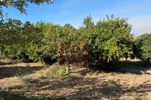 Helårsgrund i Alcochete, Setubal, Alcochete - € 995.000 | Ref: HA365 - foto 2