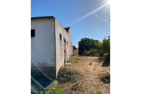 Helårsgrund i Alcochete, Setubal, Alcochete - € 995.000 | Ref: HA365 - foto 26