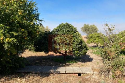Helårsgrund i Alcochete, Setubal, Alcochete - € 995.000 | Ref: HA365 - foto 27