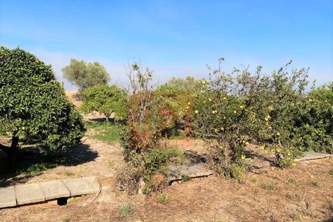 Helårsgrund i Alcochete, Setubal, Alcochete - € 995.000 | Ref: HA365 - foto 28