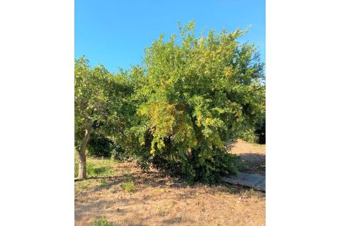 Helårsgrund i Alcochete, Setubal, Alcochete - € 995.000 | Ref: HA365 - foto 29