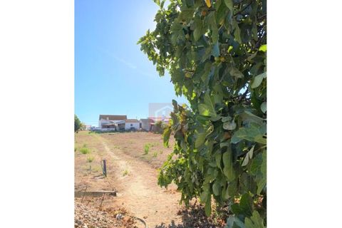 Helårsgrund i Alcochete, Setubal, Alcochete - € 995.000 | Ref: HA365 - foto 31