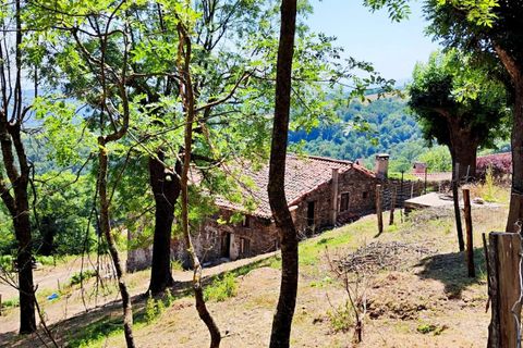Landejendom i Ceret, Pyrenees-Orientales, Ceret - € 650.000 | Ref: 7295026 - foto 5