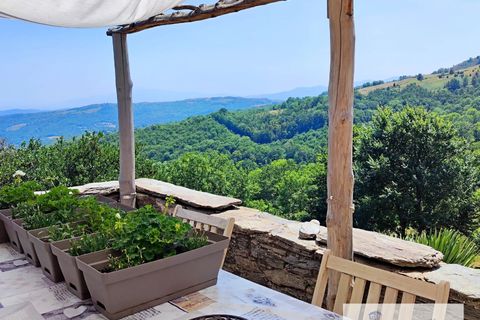 Landejendom i Ceret, Pyrenees-Orientales, Ceret - € 650.000 | Ref: 7295026 - foto 6