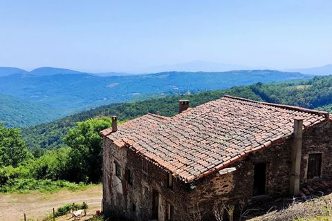 Landejendom i Ceret, Pyrenees-Orientales, Ceret - € 650.000 | Ref: 7295026 - foto 8