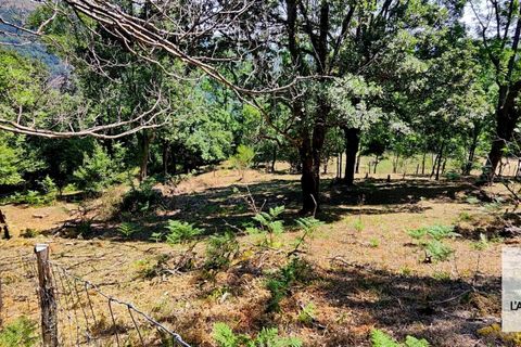 Landejendom i Ceret, Pyrenees-Orientales, Ceret - € 650.000 | Ref: 7295026 - foto 13