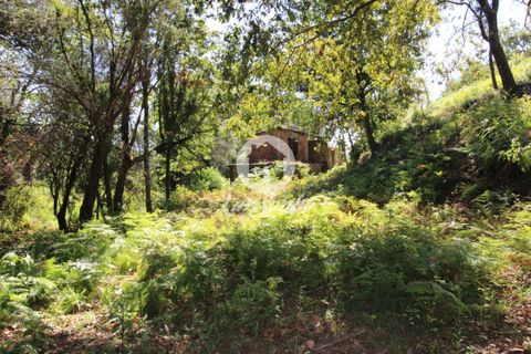 Farm i Amares, Braga, Amares - € 138.000 | Ref: 240-Q-23800 - foto 1