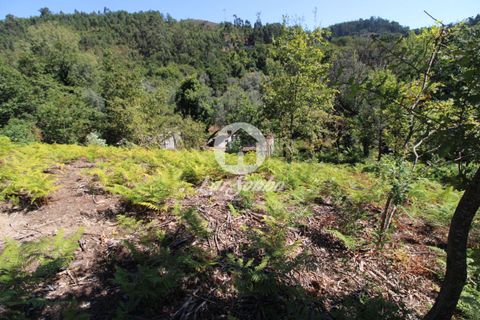 Farm i Amares, Braga, Amares - € 138.000 | Ref: 240-Q-23800 - foto 3