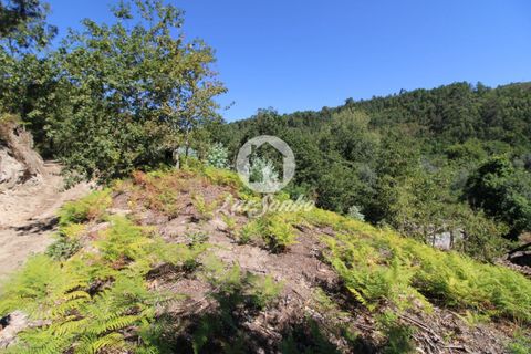 Farm i Amares, Braga, Amares - € 138.000 | Ref: 240-Q-23800 - foto 4