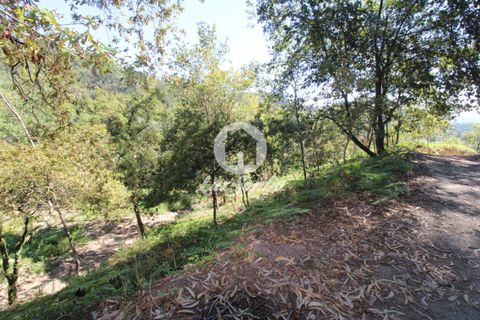 Farm i Amares, Braga, Amares - € 138.000 | Ref: 240-Q-23800 - foto 6