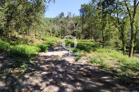 Farm i Amares, Braga, Amares - € 138.000 | Ref: 240-Q-23800 - foto 7