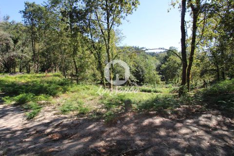 Farm i Amares, Braga, Amares - € 138.000 | Ref: 240-Q-23800 - foto 8