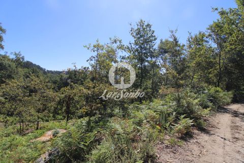 Farm i Amares, Braga, Amares - € 138.000 | Ref: 240-Q-23800 - foto 9
