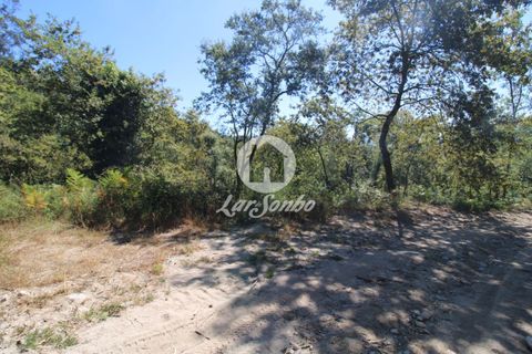 Farm i Amares, Braga, Amares - € 138.000 | Ref: 240-Q-23800 - foto 10
