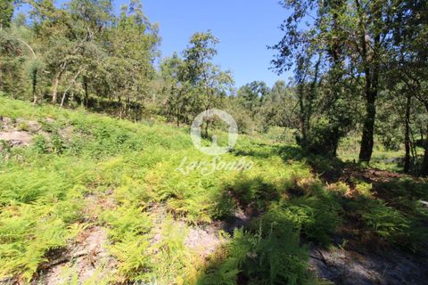 Farm i Amares, Braga, Amares - € 138.000 | Ref: 240-Q-23800 - foto 11