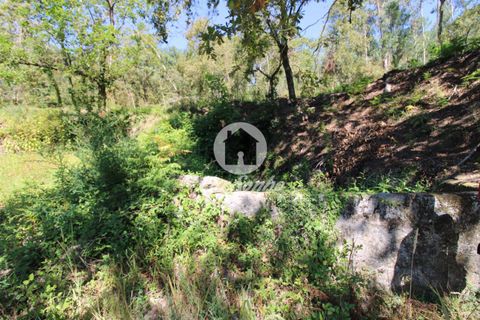 Farm i Amares, Braga, Amares - € 138.000 | Ref: 240-Q-23800 - foto 12