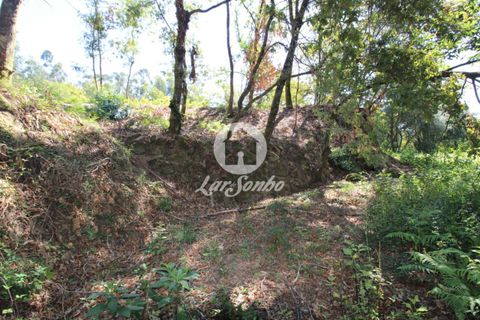 Farm i Amares, Braga, Amares - € 138.000 | Ref: 240-Q-23800 - foto 13