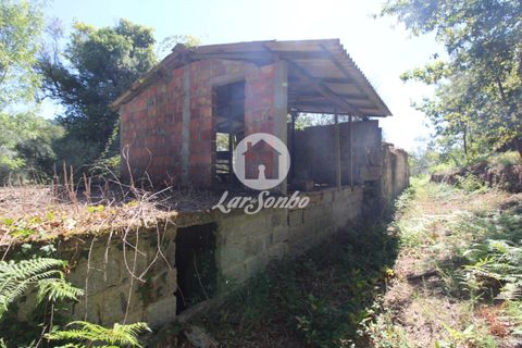 Farm i Amares, Braga, Amares - € 138.000 | Ref: 240-Q-23800 - foto 14