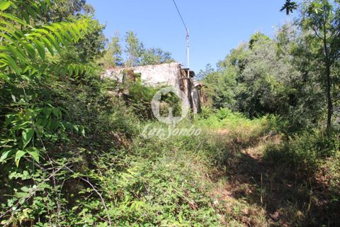 Farm i Amares, Braga, Amares - € 138.000 | Ref: 240-Q-23800 - foto 17