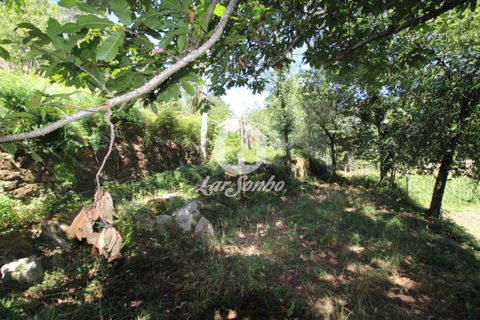 Farm i Amares, Braga, Amares - € 138.000 | Ref: 240-Q-23800 - foto 18