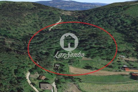 Farm i Amares, Braga, Amares - € 138.000 | Ref: 240-Q-23800 - foto 20